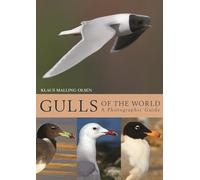 Gulls of the World: A Photographic Guide