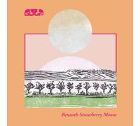 Gulp Beneath Strawberry Moons (Vinyl LP)