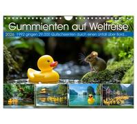 Gummienten auf Weltreise (Wandkalender 2026 DIN A4 quer), CALVENDO Monatskalender: Durch die Gummienten lernten die Forscher viel über Meeresströmungen