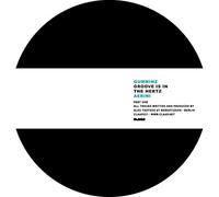 Gummihz - Groove Is In The Hertz