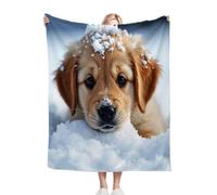 Gumntun Coperta Plaid Matrimoniale 180x200 Golden Retriever Sulla Neve, Microfibra Morbido Durevole e Caldo 3D Stampa Peluche, Soffice Coperta in Flanella per Il Tempo Libero Sedia