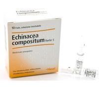 guna Echinacea comp s 10f ft heel