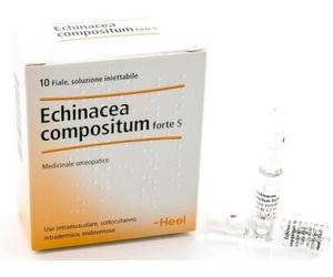 guna Echinacea comp s 10f ft heel