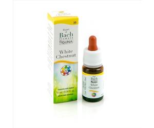 Guna Fiori Di Bach - White Chestnut 35 Concentrazione E Pace Gocce, 10ml