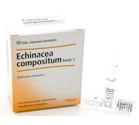 HEEL ECHINACEA COMPOSTA S FORTE 10 FIALE