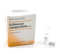 HEEL ECHINACEA COMPOSTA S FORTE 10 FIALE