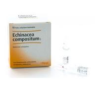ECHINACEA COMP S 10F 2,2MLHEEL