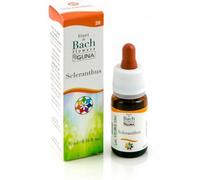 guna Scleranthus N?28 10ml Gocce