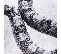 Noah Gundersen 'I'M ALRIGHT/WHITE NOISE (Vinyl LP)