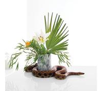 Gundersen Noah - White Noise