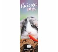 Guniea Pigs - Meerschweinchen 2026 - Slimline-Kalender: Original Carousel Calendar [Mehrsprachig] [Kalender]