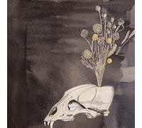 Gunn, Steve/Black Tw - Seasonal Hire