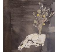 Gunn, Steve/Black Tw - Seasonal Hire