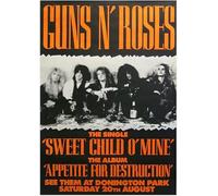 Guns n Roses 4 Poster da concerto vintage rock retrò A4