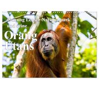 Gunung Leuser Nationalpark und seine Orang Utans (Wandkalender 2026 DIN A3 quer), CALVENDO Monatskalender: Orang-Utans in freier Wildbahn