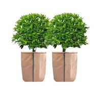 GUOXIAD Pot Winter Protector, Plant Root Insulation Covers, Fruit Tree Frost Protection Cover for Cold Weather, Adjustable Strap Wrap(Khaki,45x50cm)