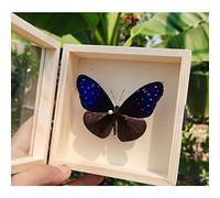 Guoyoocc Farfalle squisite Insetto Esemplare,tassidermia di Farfalle,Vera Taxidermia sotto Vetro Montato in Un Elegante Telaio in Legno 3D Fatto a Mano,Farfalla Ornamento,Regalo di Artigianato