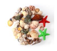 GUOYOU 200g Conchiglie Decorative, Naturale Marine Conchiglia con Stelle Marine Conchiglie Miste per Riempitivi di Vaso Tema da Spiaggia Decorazioni conchiglie di mare per Matrimoni