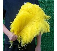 GUOZHAN 10 Pezzi/Lotto Piume di Struzzo Bianche Naturali 15-50 cm Grandi Piume per Decorazioni per la casa e Matrimoni centrotavola da Tavolo Artigianato