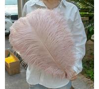 GUOZHAN 10 Pezzi/Lotto Piume di Struzzo Bianche Naturali 15-50 cm Grandi Piume per Decorazioni per la casa e Matrimoni centrotavola da Tavolo Artigianato