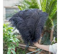 GUOZHAN 10 Pezzi/Lotto Piume di Struzzo Bianche Naturali 15-50 cm Grandi Piume per Decorazioni per la casa e Matrimoni centrotavola da Tavolo Artigianato