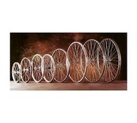 Gurpil RUEDA DELANTERA 600 x 32 RADIOS ALUMINIO