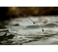 Guru N-Gauge & Aventus Carbonio Quivertip