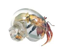 Gusci Grandi per Paguri | Rifugi Decorativi per Paguri,Conchiglie Ornamentali in Trasparente per Acquario Pesci Crostacei Terrario Rettili Marino