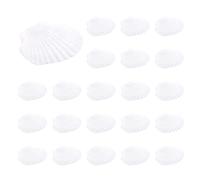 Guscio di Capesante Naturale da 25 Pezzi, Speciale per La Produzione Creati6094