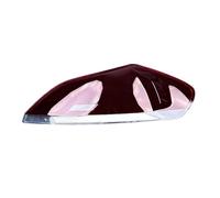 Guscio Per Luce Di Retromarcia Dell'auto Per BMW Per Z4 2009-2018 Copri Lampada Posteriore Per Auto Paralume Esterno Sinistro Per Fanale(Right)