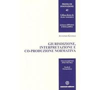 Giurisdizione, interpretazione e co-produzione normativa