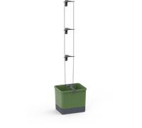 Gusta Garden Curt Cucumber - Verde scuro