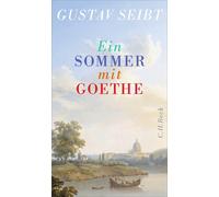 Gustav Seibt Ein Sommer mit Goethe (Book)