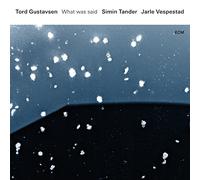 Gustavsen Tord - What Was Said