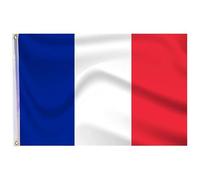 GUSTO Bandiera Francia 90 x 150 cm con 2 Occhielli in Metallo Tessuto Resistente allo Sbandieramento e Intemperie Francese (90 X 150 cm - 1 pezzo, France)