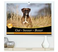 Gut - besser - Boxer (hochwertiger Premium Wandkalender 2026 DIN A2 quer), Kunstdruck in Hochglanz: Boxer, einzigartige Hunde