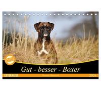 Gut - besser - Boxer (Tischkalender 2026 DIN A5 quer), CALVENDO Monatskalender: Boxer, einzigartige Hunde