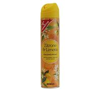 Gut & Günstig Profumo spray al limone e lime, 300 ml, confezione da 1