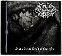 Ulcers In The Flesh Of Thought