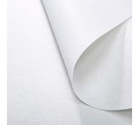 GUTUYEHKEA Tappeto da Cerimonia, Tappeto Bianco for Scale, Spessore 2 mm, Antiscivolo, navata, Decorazione Matrimoni, Chiesa, Esterni o Interni, tagliabile(1.2x25m)