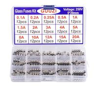 GUUZI 15 valori 180 pezzi 5×20mm 250V Kit Assortimento Fusibili in Vetro ad Azione Rapida 0,1A/0,2A/0,25A/0,5A/1A/1.5A/2A/3A/4A/5A/8A/10A/12A/ 15A/20A