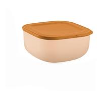GUZZINI CHEF LINE CONTENITORE ERMETICO BASSO L 1900 CC
