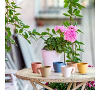 Guzzini chef line Set di 6 tazzine multicolor Made in Italy