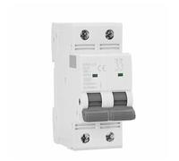 GVBAEPIEO Interruttore Automatico GYM9 Mini Interruttore bifase DP MCB 80A 100A 125A 2P Larghezza 35,6mm 400V 6KA 1 pz(80A)