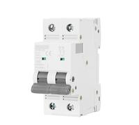 GVBAEPIEO Mini Interruttore Automatico Doppia Fase GYM9 da 80A 100A 125A 2P Larghezza 35,6 mm 400 V 6KA 1 Pezzo(125A)