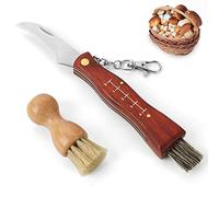 GVDV Coltello per Funghi Con Spazzola, Manico in Legno, Spazzola in Setola di Cinghiale