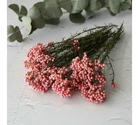 GVEKJ Fiori di riso essiccati, fiori conservati per decorazioni fai da te in casa e ufficio, materiale per colla di, candele fatte a mano, resina epossidica, fiori rosa, 10 g