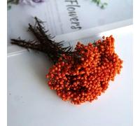 GVEKJ Fiori di riso essiccati, fiori conservati per decorazioni fai da te in casa e ufficio, materiale per colla di, candele fatte a mano, resina epossidica, fiori - Rosso-arancio - 10 g