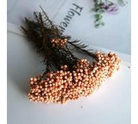 GVEKJ Fiori di riso essiccati, fiori conservati per decorazioni fai da te in casa e ufficio, materiale per colla di, candele fatte a mano, resina epossidica, fiori - arancione chiaro - 20 g