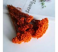GVEKJ Fiori di riso essiccati, fiori conservati per decorazioni fai da te in casa e ufficio, materiale di, colla, candele fatte a mano, resina epossidica, fiori - arancione brillante - 20 g